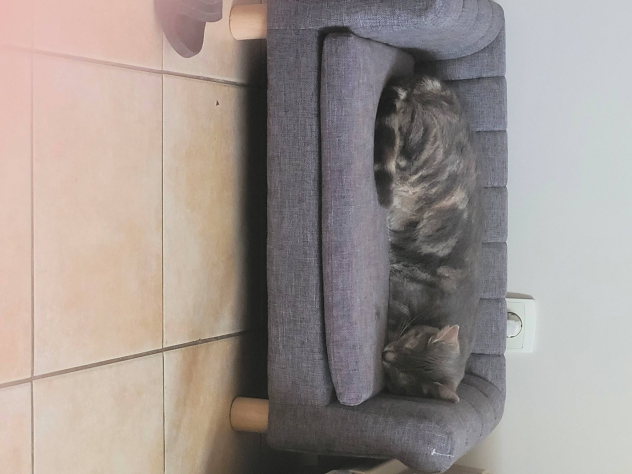 Grizette participe au concours pour gagner de l'argent avec cette photo : art, artifact, carving, flooring, font, metal, monument, relief, sculpture, statue, tile_flooring, visual_arts, wood