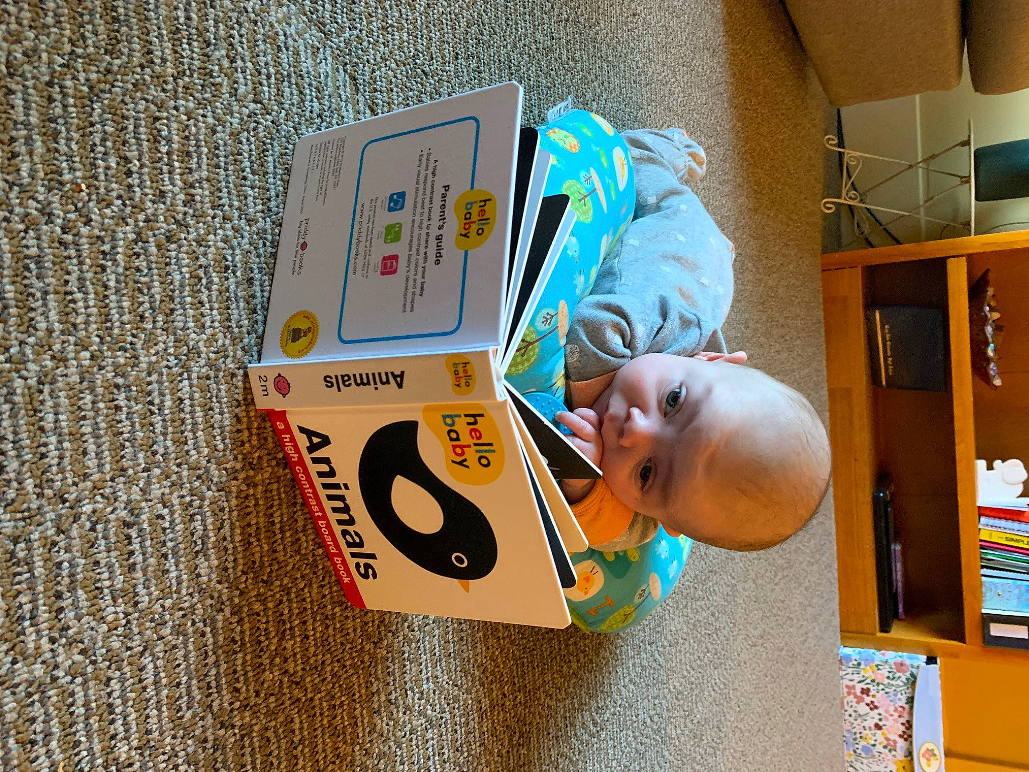 Bentlee is registered to the contest to win money with this photo: art, baby, baby_toys, box, cardboard, carton, child, font, paper, paper_product, person, plastic, play, rectangle, room, stuffed_toy, toddler, toy, wood