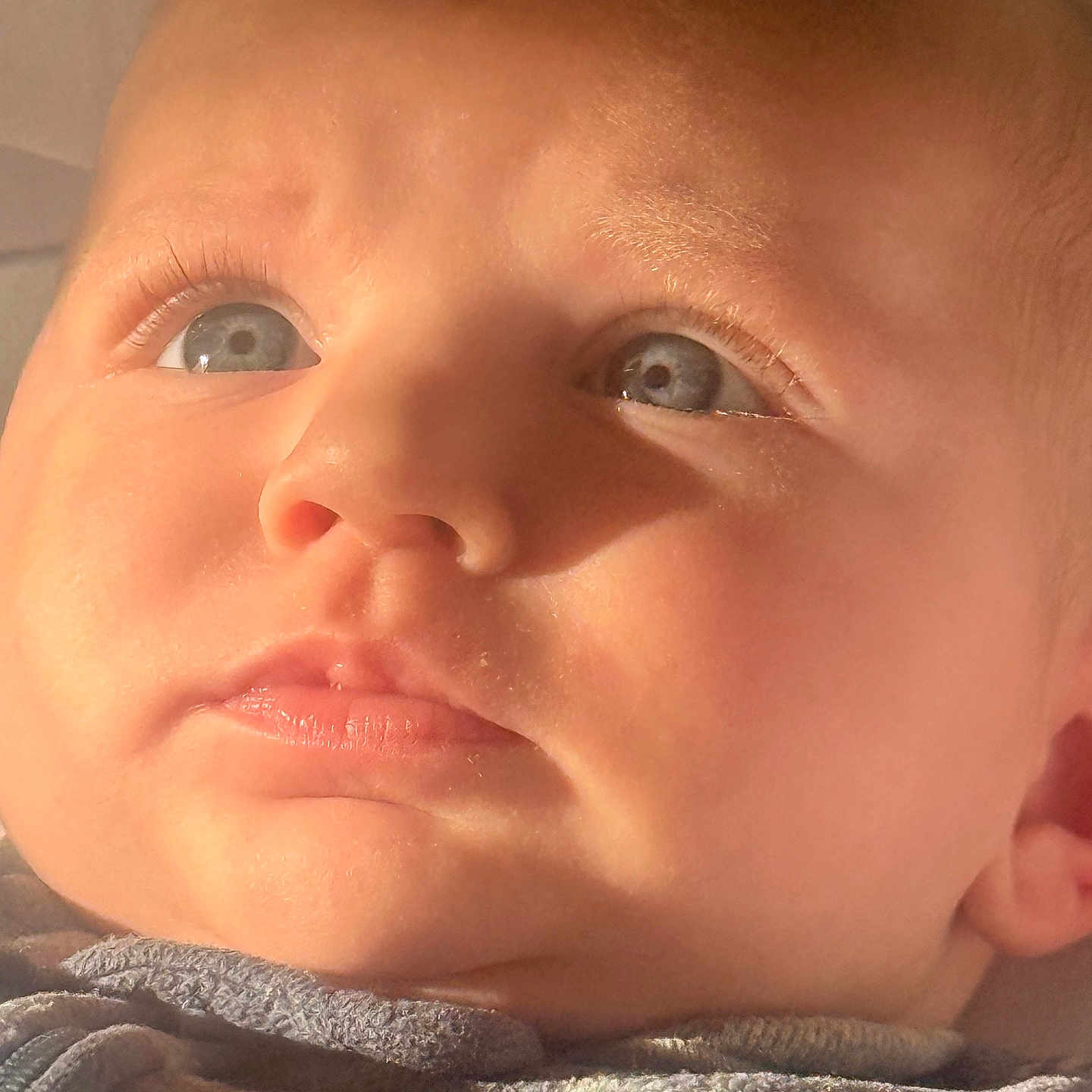Amara joined the competition — help win amazing prizes! baby, closeup, face, blue_eyes, skin, eyelashes, infant, portrait, child, newborn, expression, soft_light, warm_tone, cute, young, human, looking_up, head, cheeks, clothing