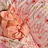 baby, newborn, sleeping, pink, bow, headband, blanket, floral, flower, soft, cozy, infant, cute, peaceful, child, bed, rest, adorable, portrait, warm