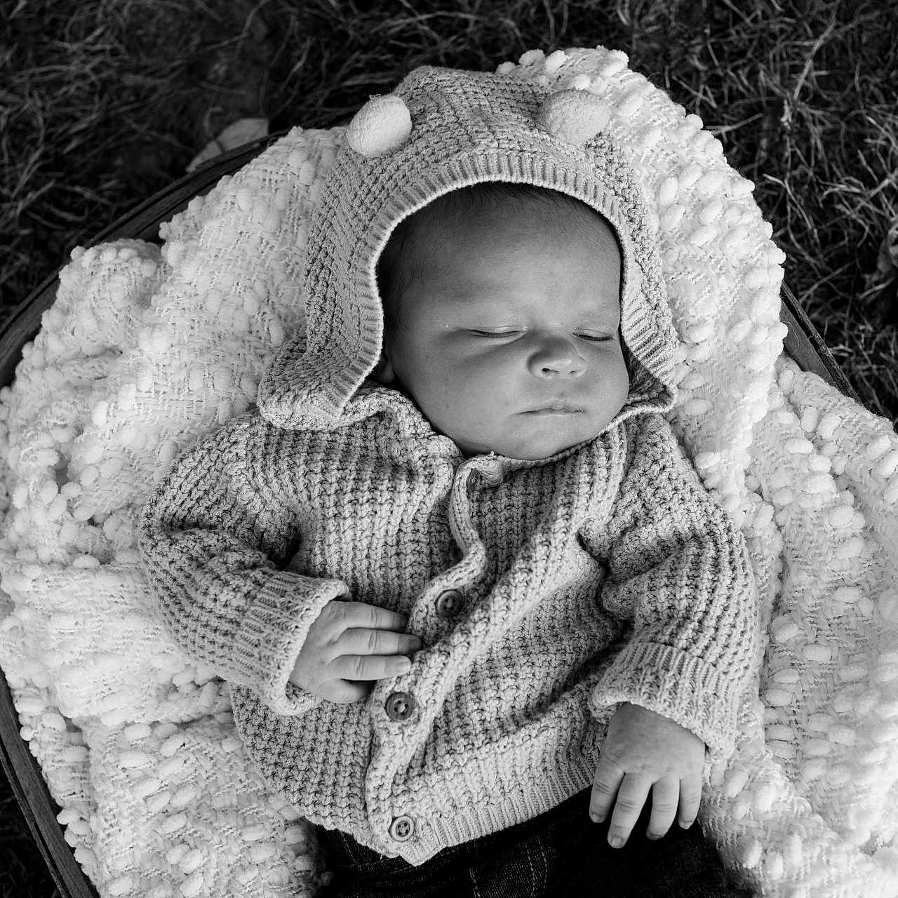 Max is registered to the contest to win money with this photo: baby, basket, black_and_white, blanket, child, cozy, grass, hands, hood, infant, knit_sweater, newborn, outdoor, peaceful, pom_poms, portrait, resting, sleeping, soft_lighting, texture