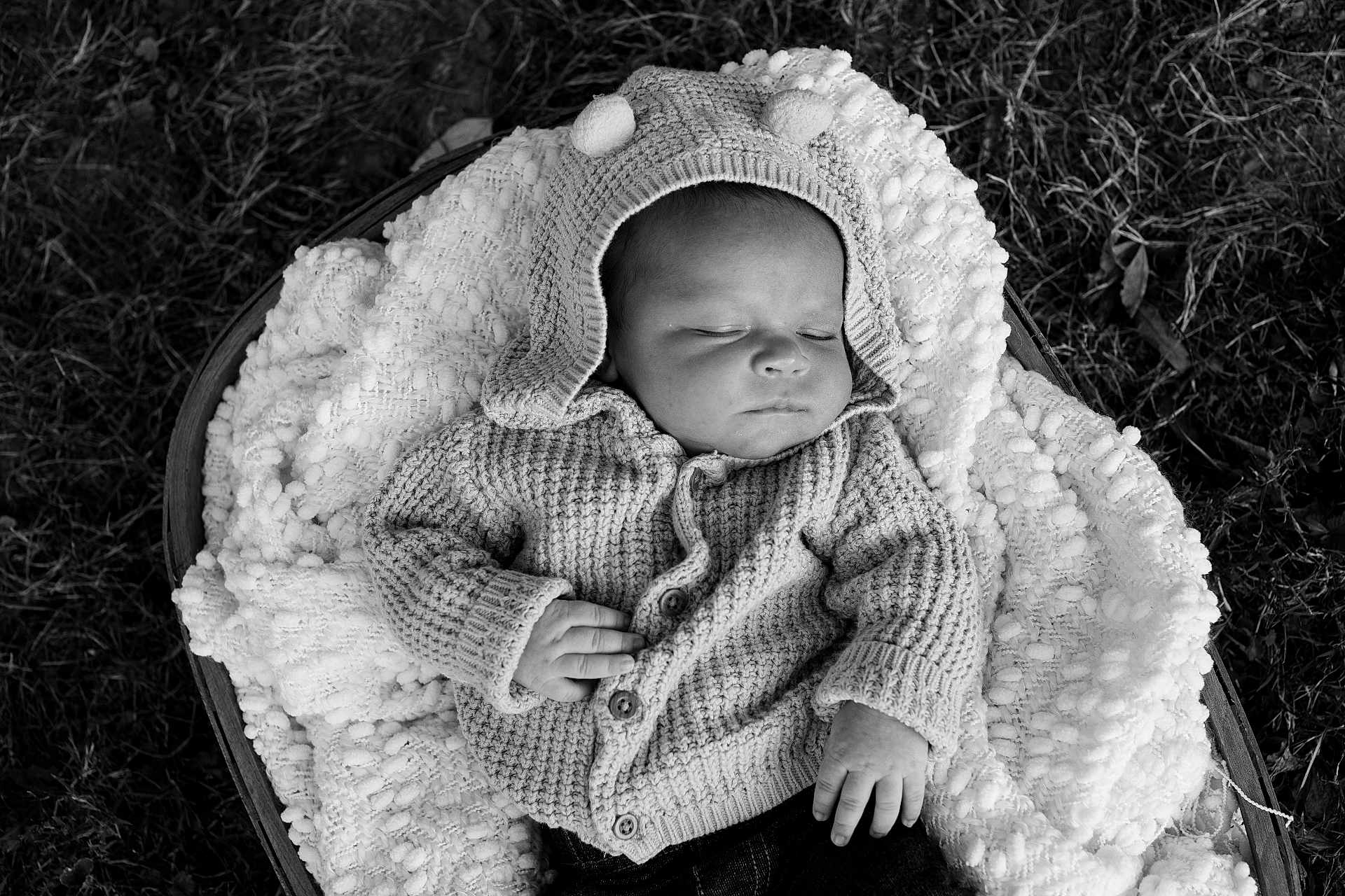 Max is registered to the contest to win money with this photo: baby, infant, sleeping, knit_sweater, hood, pom_poms, blanket, basket, outdoor, grass, black_and_white, peaceful, cozy, texture, portrait, newborn, child, soft_lighting, hands, resting