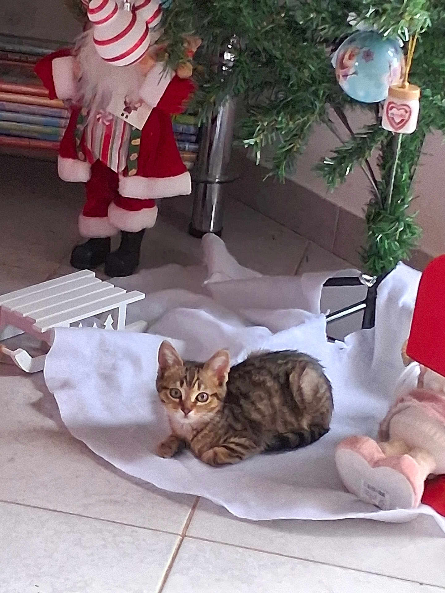 Nala participe au concours pour gagner de l'argent avec cette photo : kitten, cat, tabby, floor, white_cloth, christmas_tree, ornaments, decoration, santa_claus_figure, festive, indoor, tile_floor, holiday, cute, pet, animal, small, young, curious, relaxed