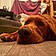 Ares