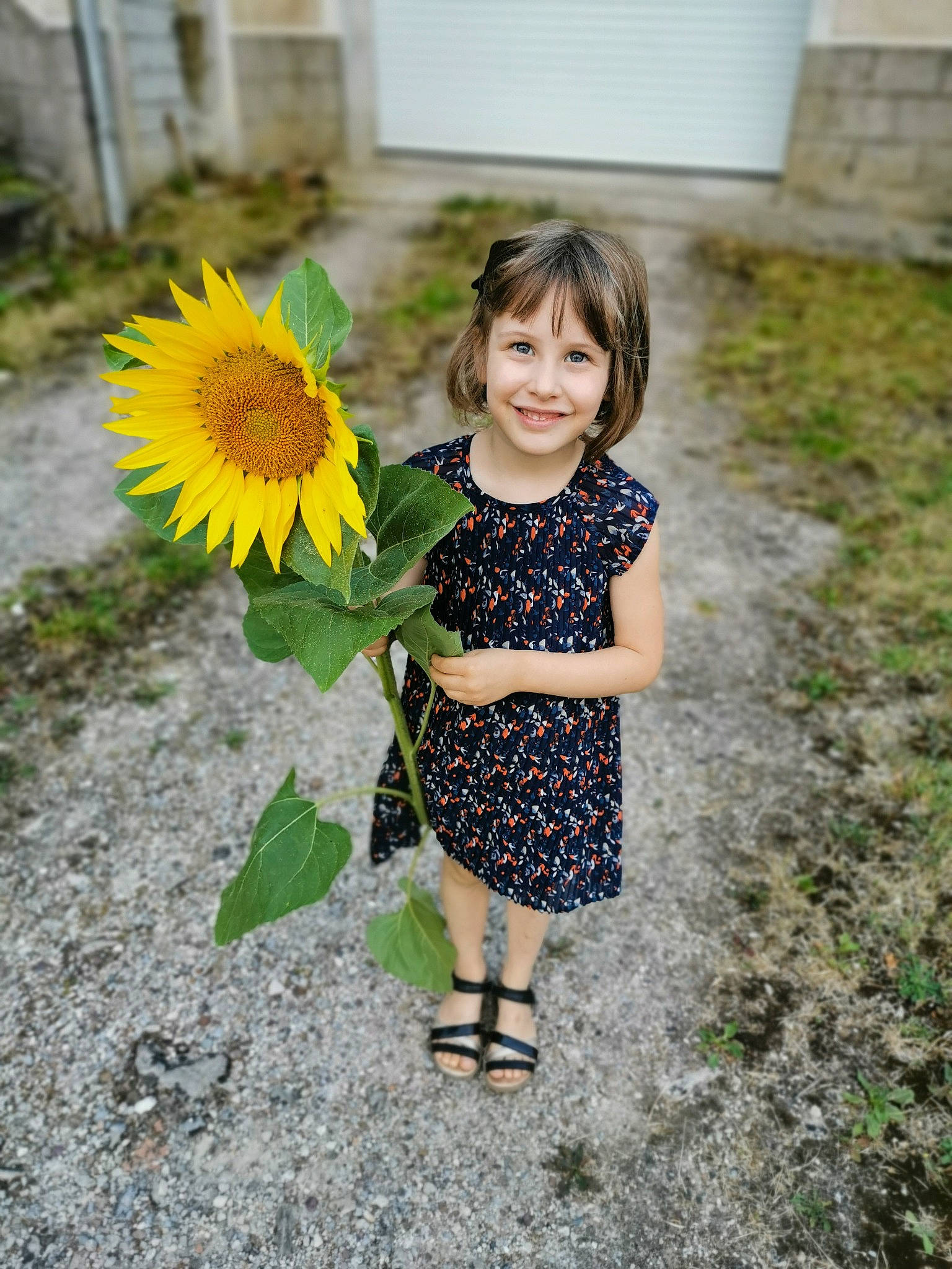 Elleah participe au concours pour gagner de l'argent avec cette photo : asterales, child, child_model, daisy_family, dandelion, dress, flower, happy, joy, outerwear, pattern, person, photography, plant, smile, summer, sunflower, t_shirt, toddler, wildflower