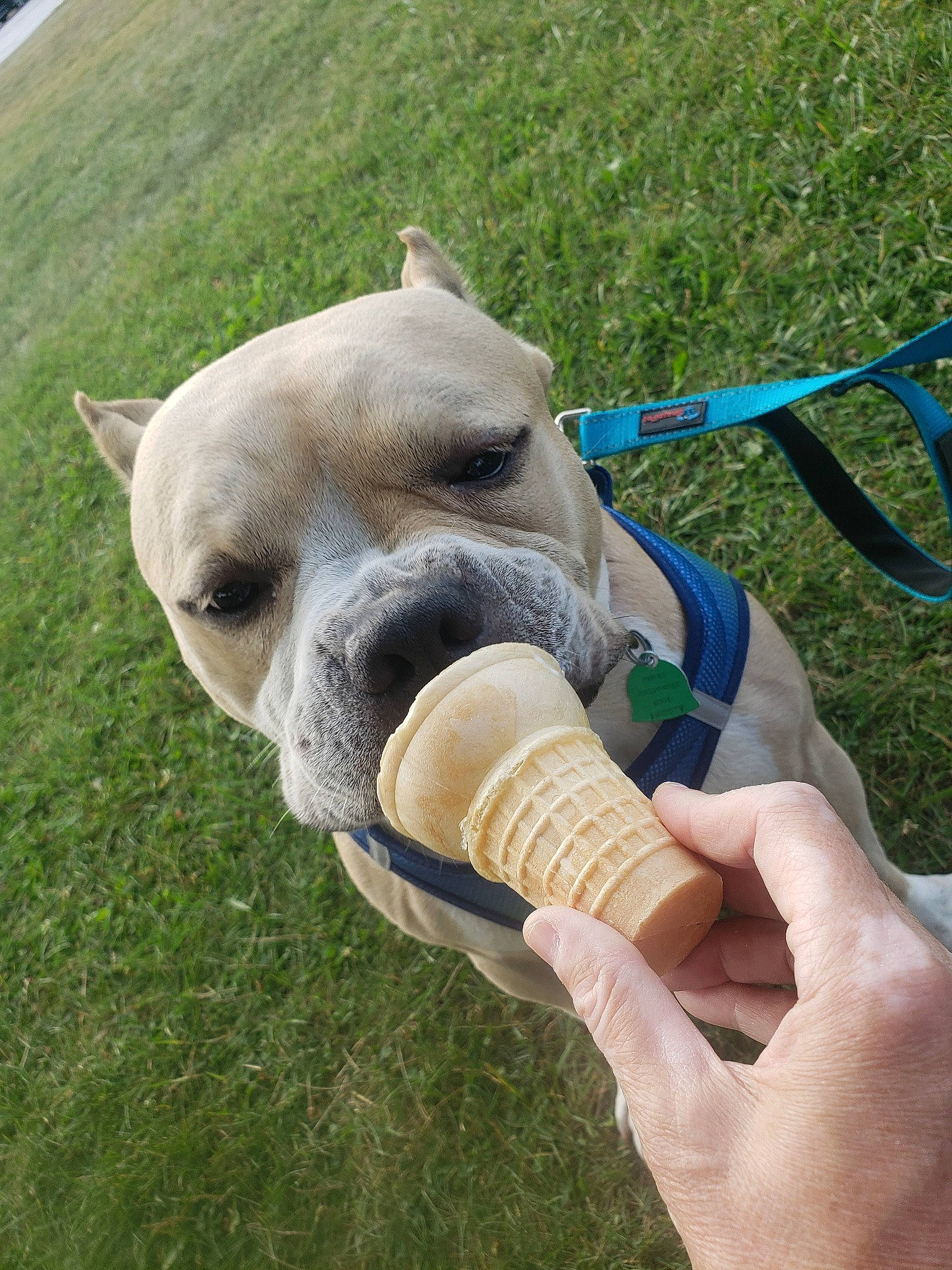 Cam joined the competition — help win amazing prizes!