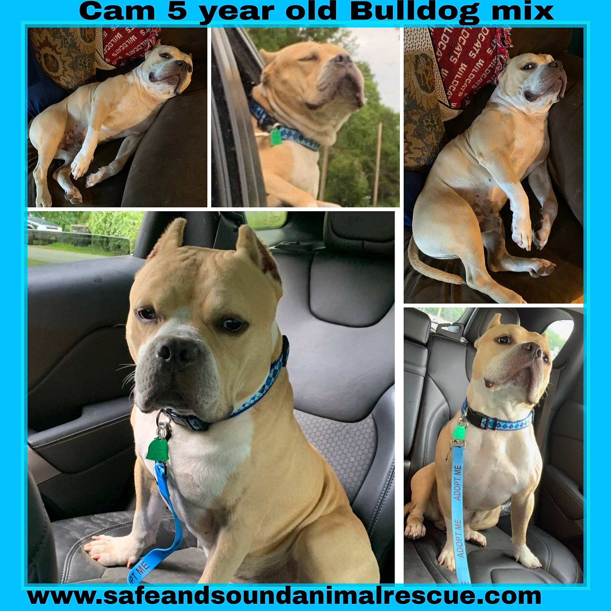 Cam joined the competition — help win amazing prizes!