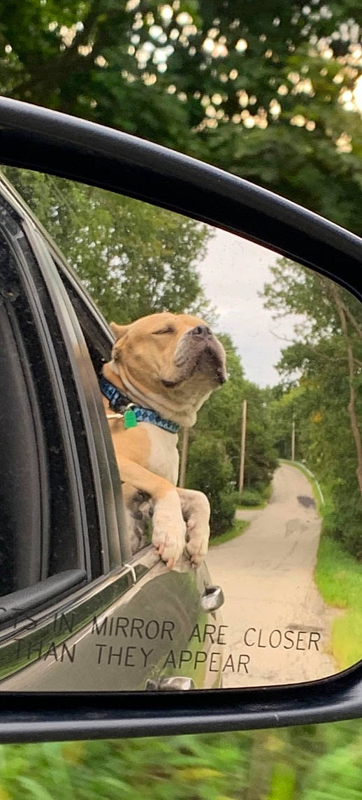 Cam joined the competition — help win amazing prizes!