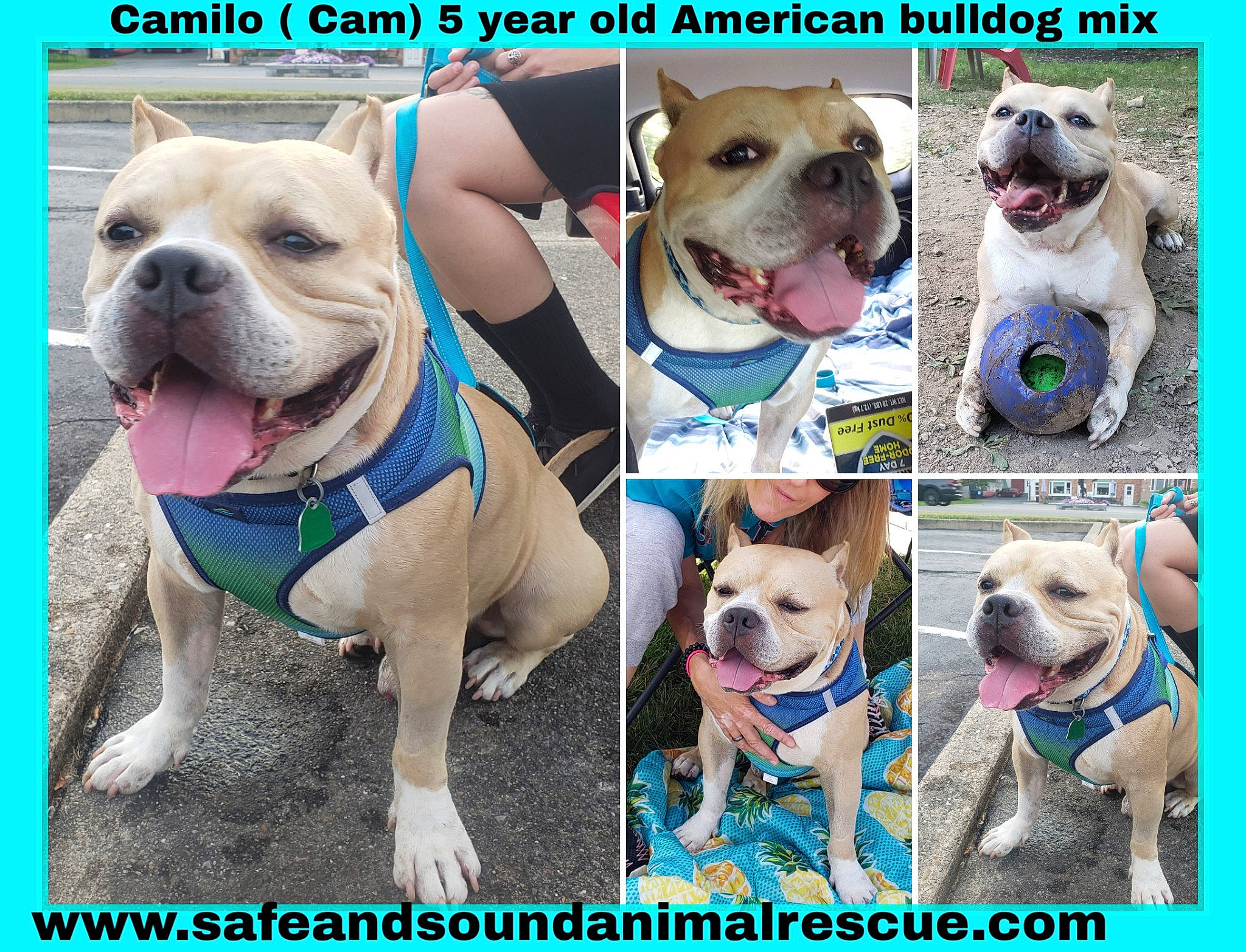 Cam joined the competition — help win amazing prizes!