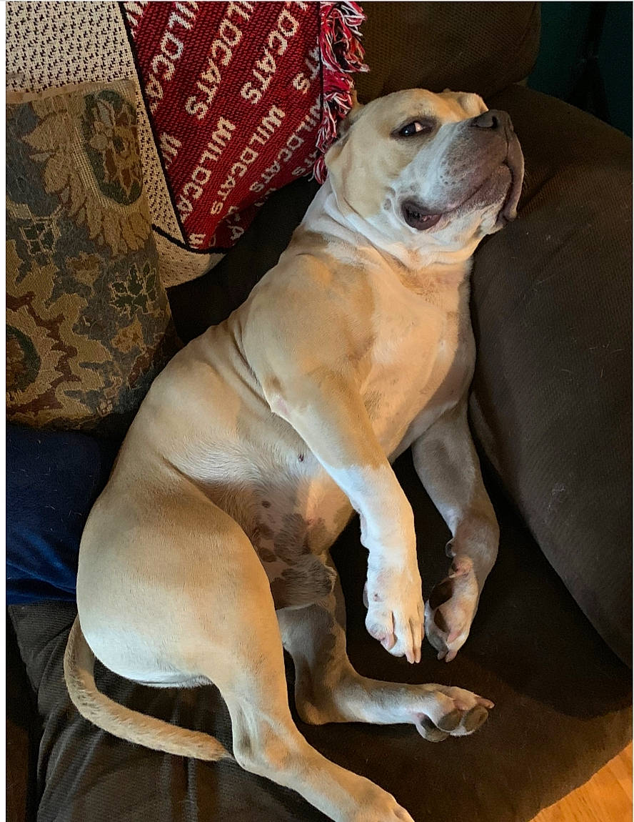 Cam joined the competition — help win amazing prizes!