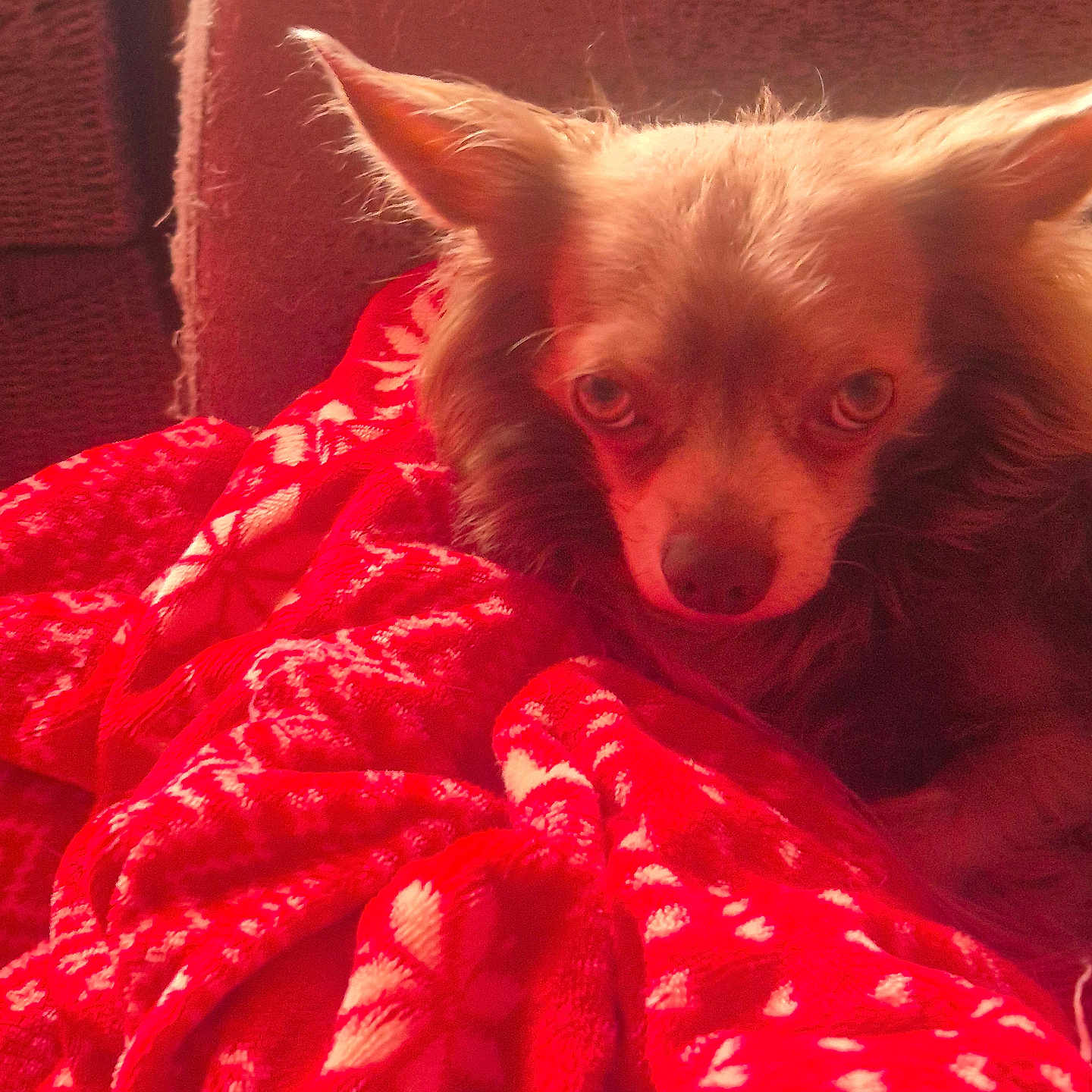 Charly