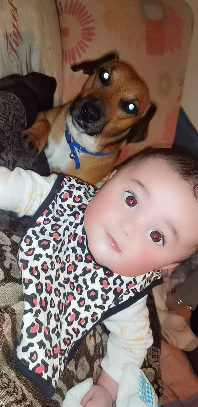 Leïna participe au concours pour gagner de l'argent avec cette photo : baby, baby_toddler_clothing, carnivore, comfort, companion_dog, dog, dog_breed, doll, eye, eyelash, fur, happy, head, mammal, nose, pattern, person, skin, toddler, toy