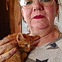 Moon Pie is registered to the contest to win money with this photo: animal, calm, casual, closeup, cozy, eyewear, face, feline, glasses, hand, holding, indoor, kitten, orange_cat, person, pet, portrait, star_pattern, sweater, woman