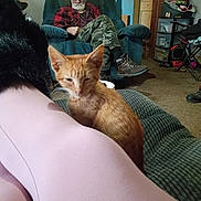 Moon Pie joined the competition — help win amazing prizes! beard, boots, camouflage_pants, carpet, casual, cat, clutter, couch, furniture, glasses, hat, indoor, living_room, man, orange_cat, person, plaid_shirt, recliner, relaxed, sitting