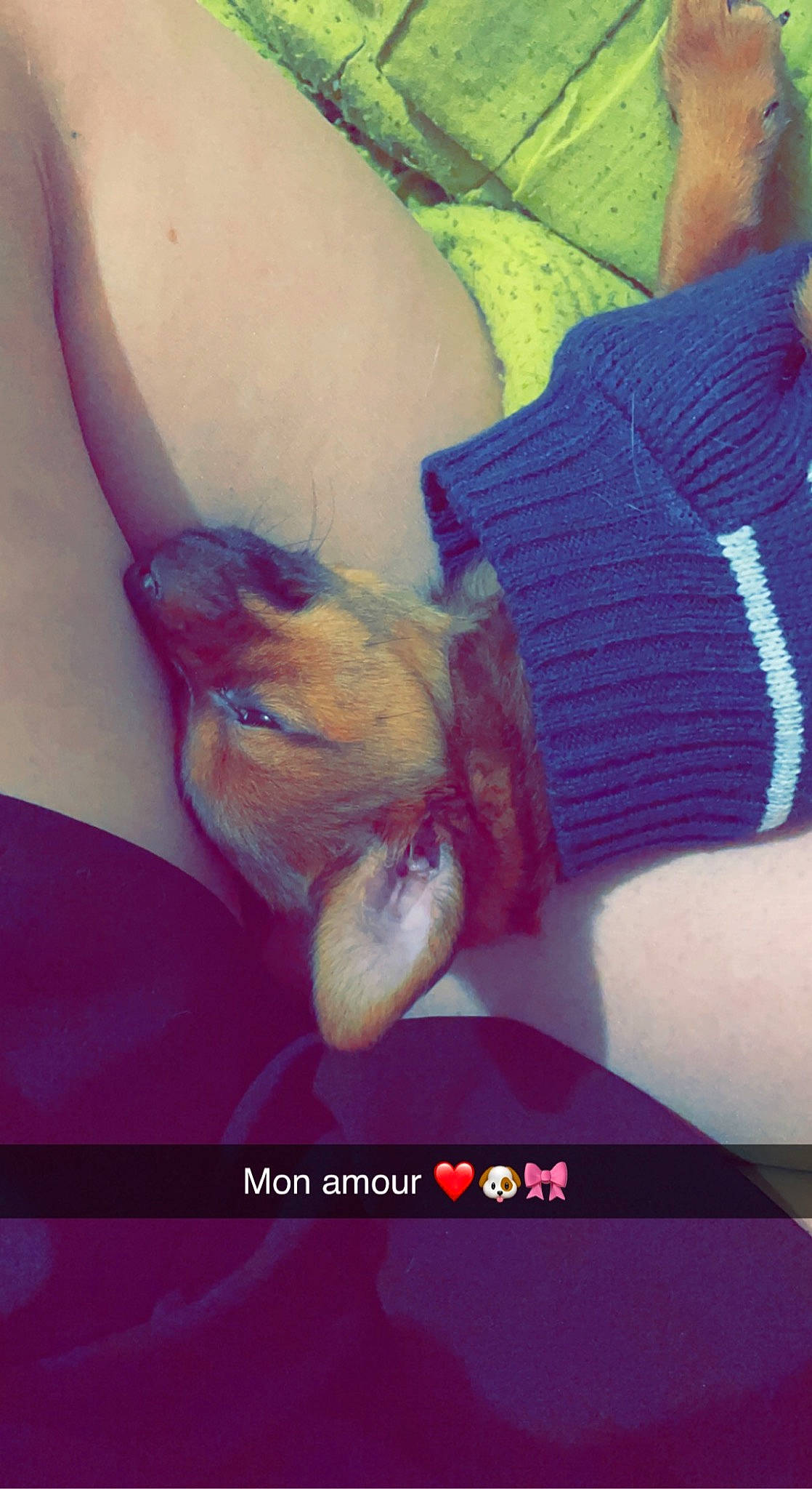 Tahia a rejoint le concours — aidez-le/la à gagner de superbes lots ! abdomen, chest, companion_dog, elbow, eyebrow, fawn, gesture, hair, happy, head, human_leg, knee, magenta, nail, petal, temporary_tattoo, thigh, thumb, trunk, wrist