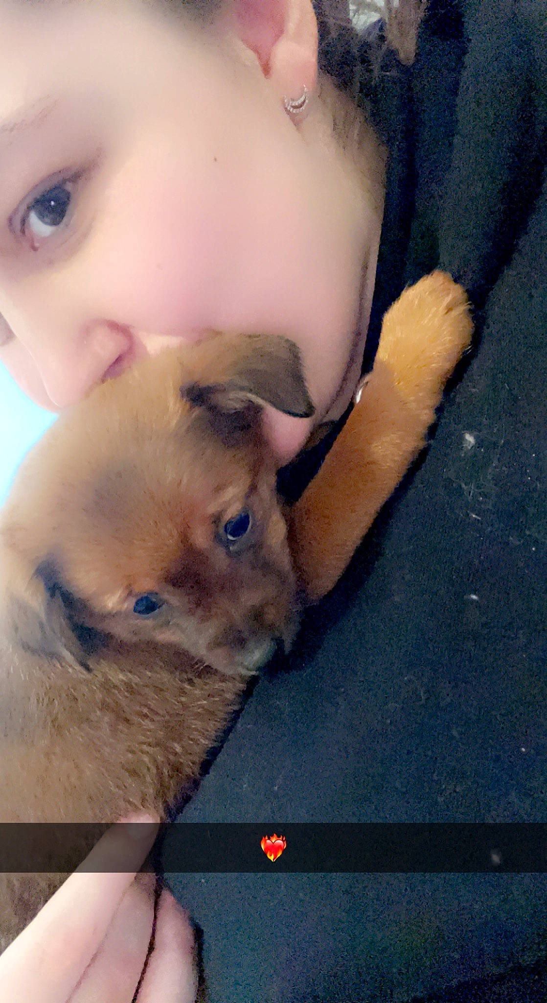 Tahia a rejoint le concours — aidez-le/la à gagner de superbes lots ! abdomen, beard, carnivore, chest, companion_dog, dog_breed, ear, eyelash, fawn, finger, gesture, happy, jaw, mouth, muscle, nose, skin, snout, trunk, whiskers