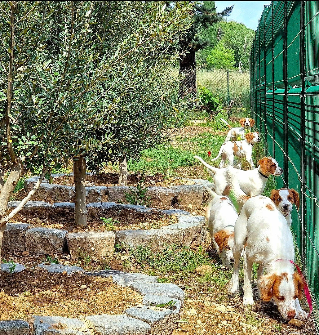 Urus Ummer Uzi Umber Ulka