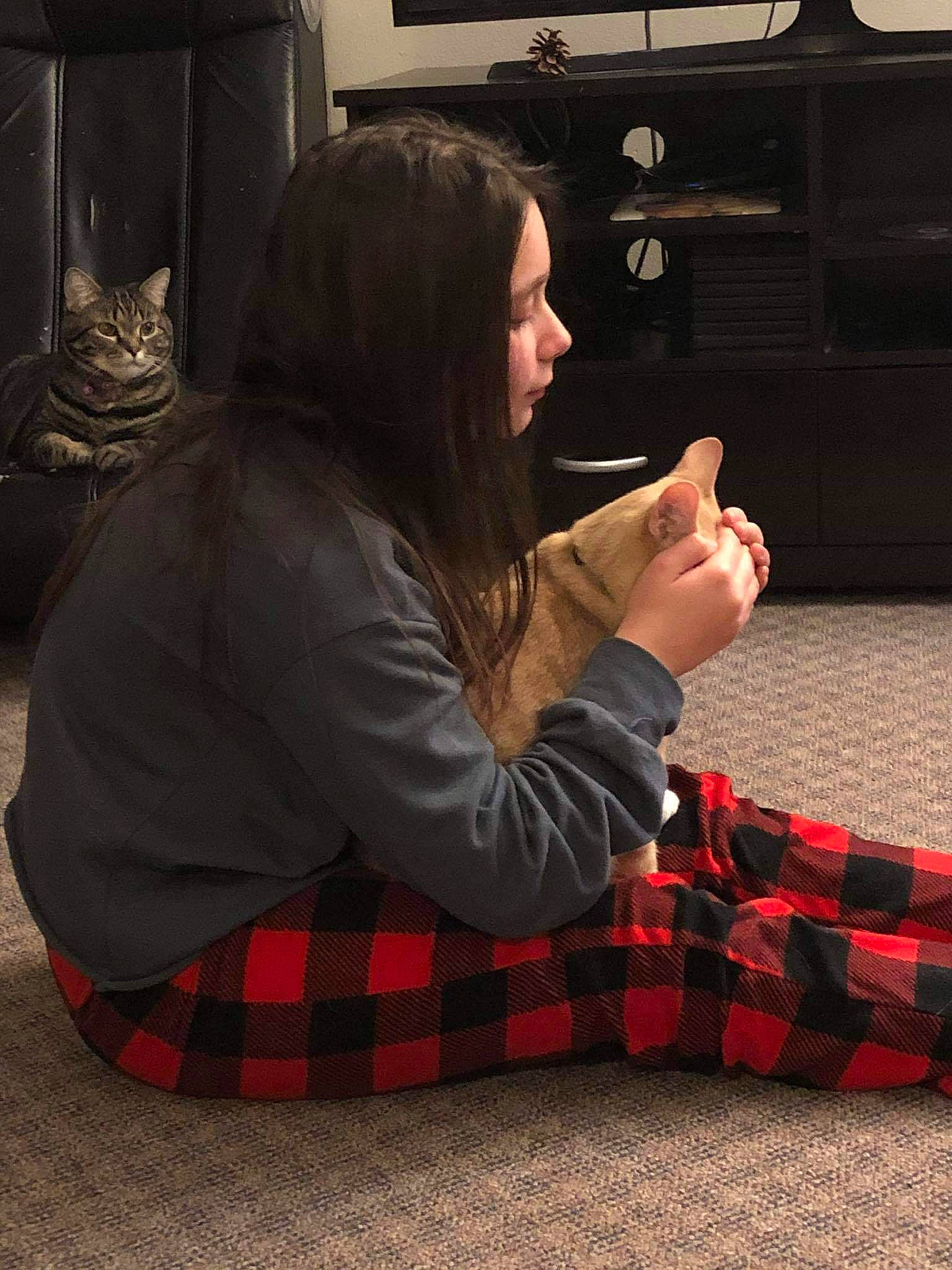 Simbah is registered to the contest to win money with this photo: arm, black, cat, comfort, elbow, finger, flooring, fun, gesture, human_leg, joint, knee, long_hair, outerwear, pattern, plaid, room, sitting, tartan, wood