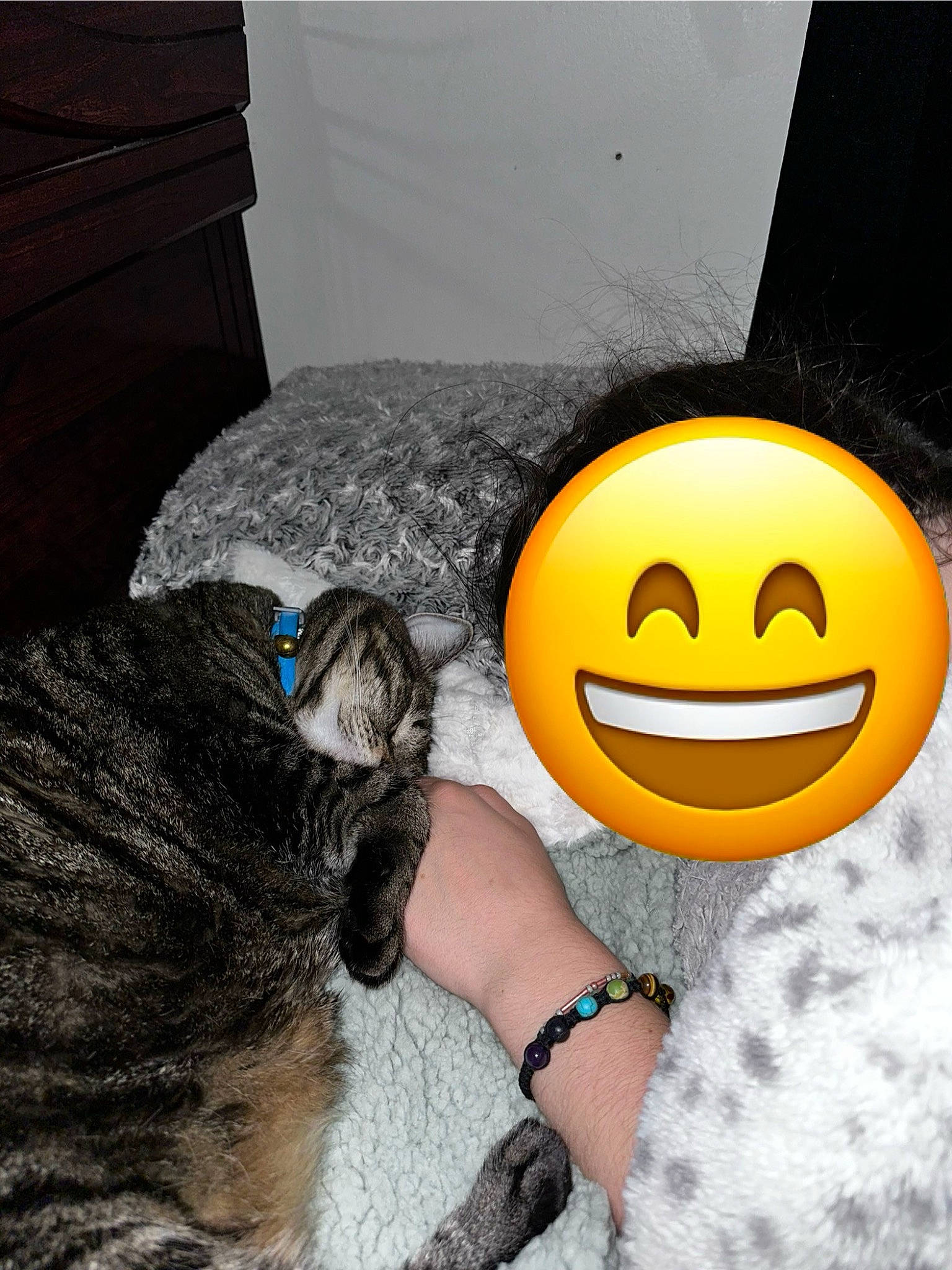 Squirt joined the competition — help win amazing prizes! black_hair, calabaza, companion_dog, emoticon, felidae, finger, fur, gesture, gourd, happy, head, musical_instrument, pumpkin, smile, smiley, squash, tail, toy, vegetable, whiskers