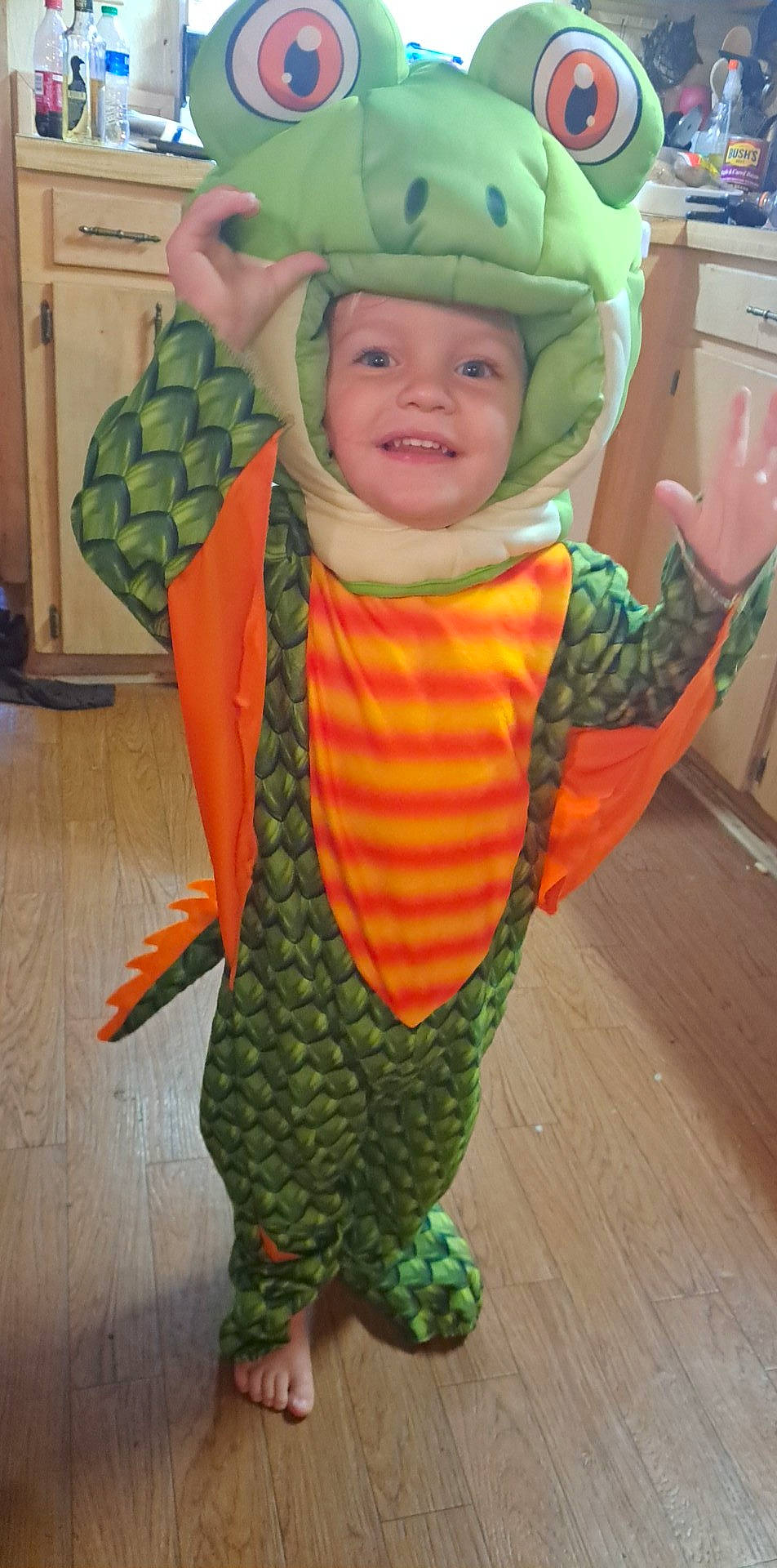 Arlen is registered to the contest to win money with this photo: baby, baby_toddler_clothing, child, costume, fashion_accessory, flooring, fun, green, happy, headgear, headwear, joy, outerwear, pattern, person, personal_protective_equipment, room, sleeve, smile, standing