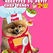 Fendy a rejoint le concours — aidez-le/la à gagner de superbes lots ! apron, cartoon_spoon, chef_hat, cooking, cute, dog, fluffy, food_emojis, illustration, meatballs, pet, pink_background, playful, pomeranian, portrait, recipe, salad, smiling, spaghetti, text_overlay