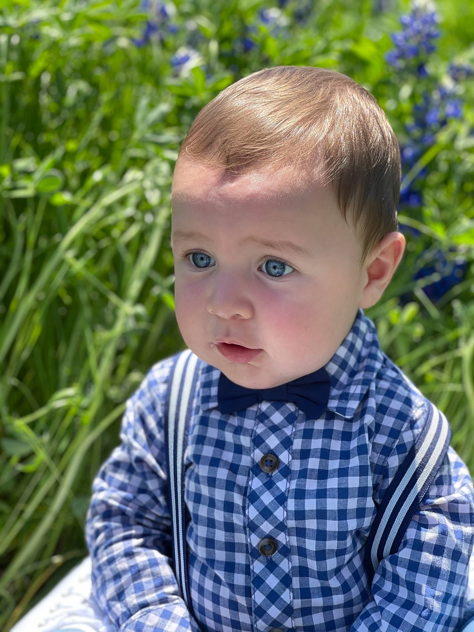 Leonidas joined the competition — help win amazing prizes! baby_toddler_clothing, blue, botany, child, dress_shirt, eye, facial_expression, grass, grass_family, happy, head, iris, people_in_nature, person, plaid, plant, shirt, sleeve, tartan, toddler