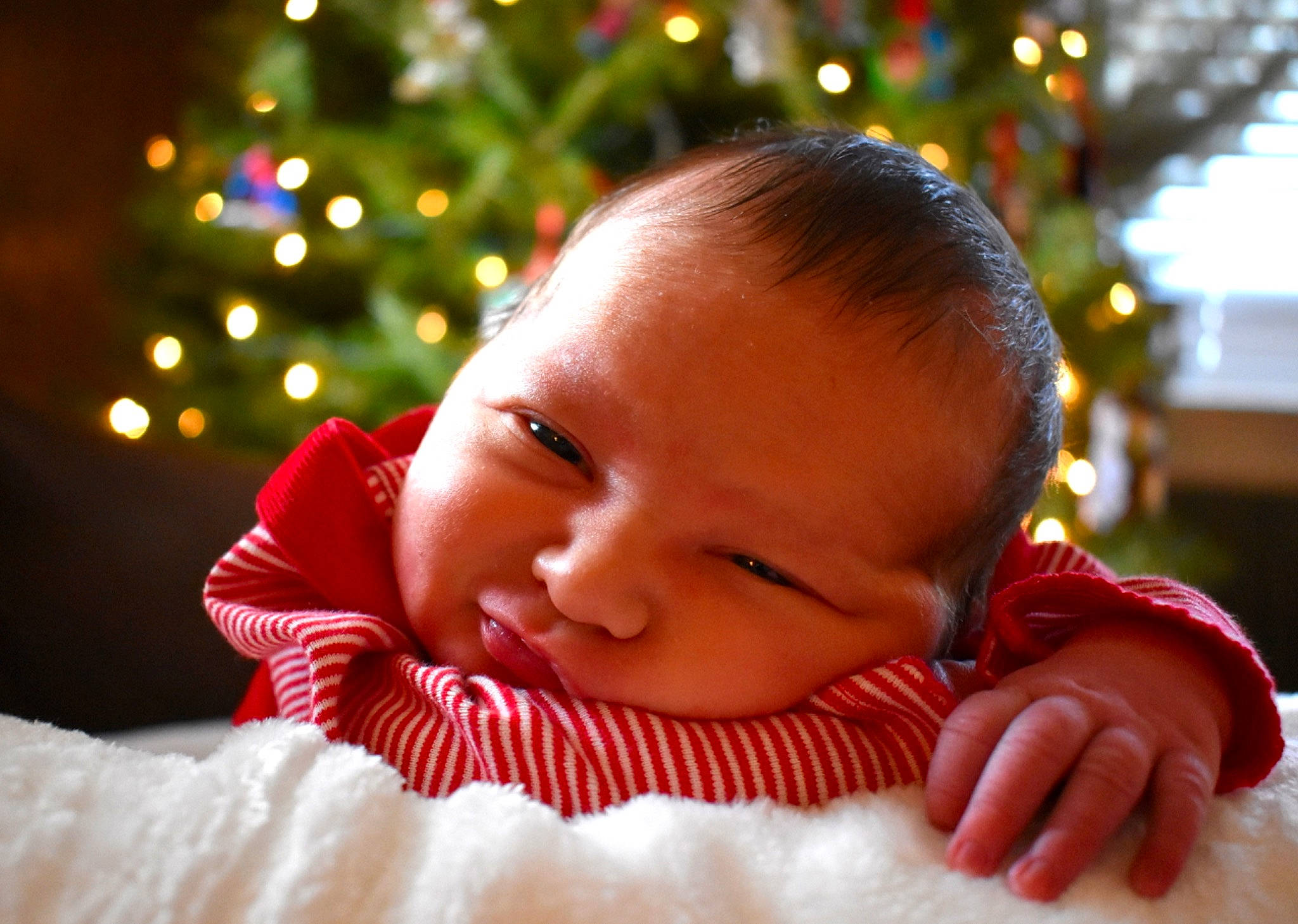 Charley joined the competition — help win amazing prizes! baby, beauty, cheek, child, christmas, christmas_eve, christmas_ornament, close_up, ear, eye, face, finger, hand, head, holiday, lip, mouth, nose, person, skin