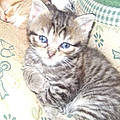 Lydia L.