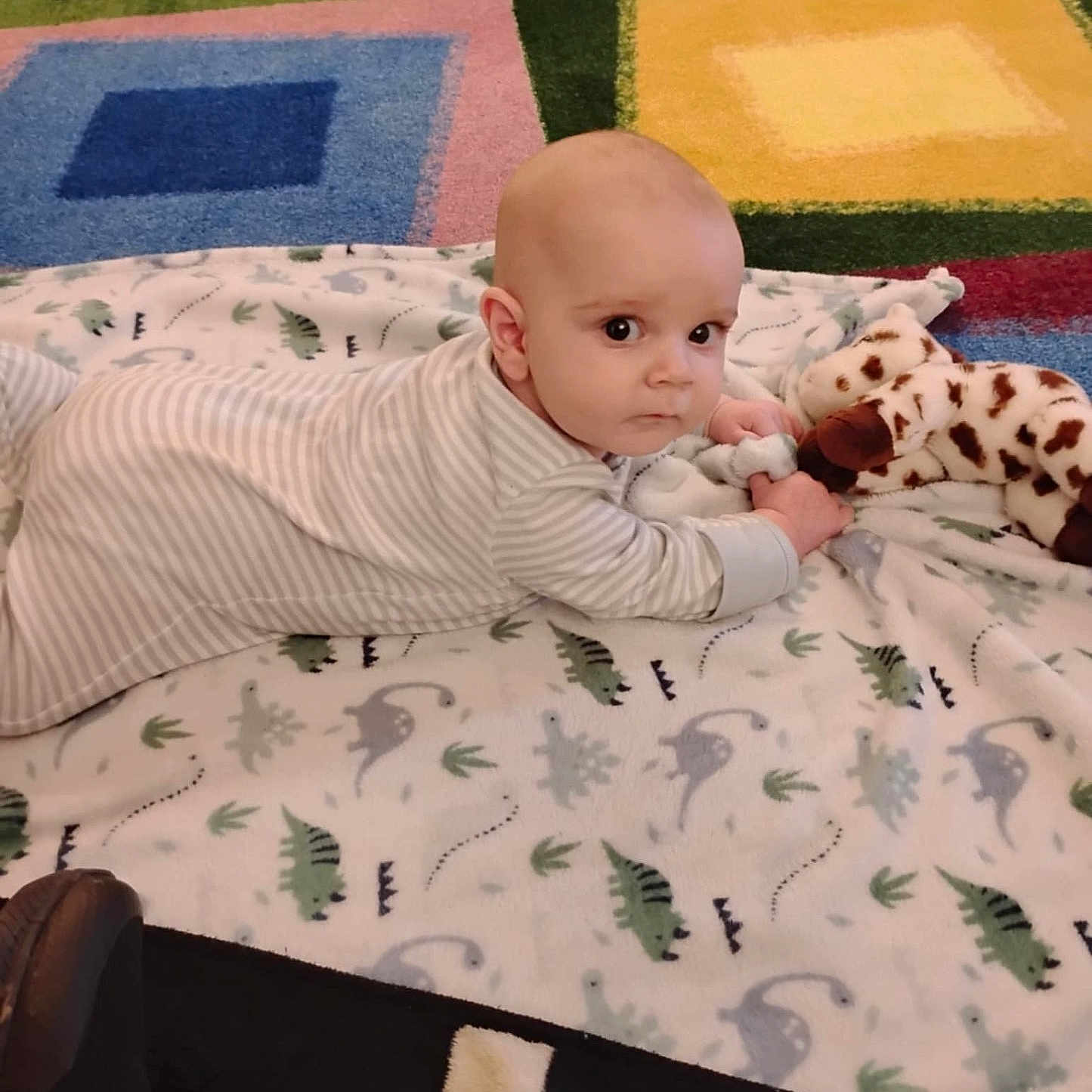 River is registered to the contest to win money with this photo: animal, baby, bed, bedroom, blanket, canine, cushion, dog, face, furniture, head, homedecor, indoors, person, pet, photography, portrait, puppy, quilt, room