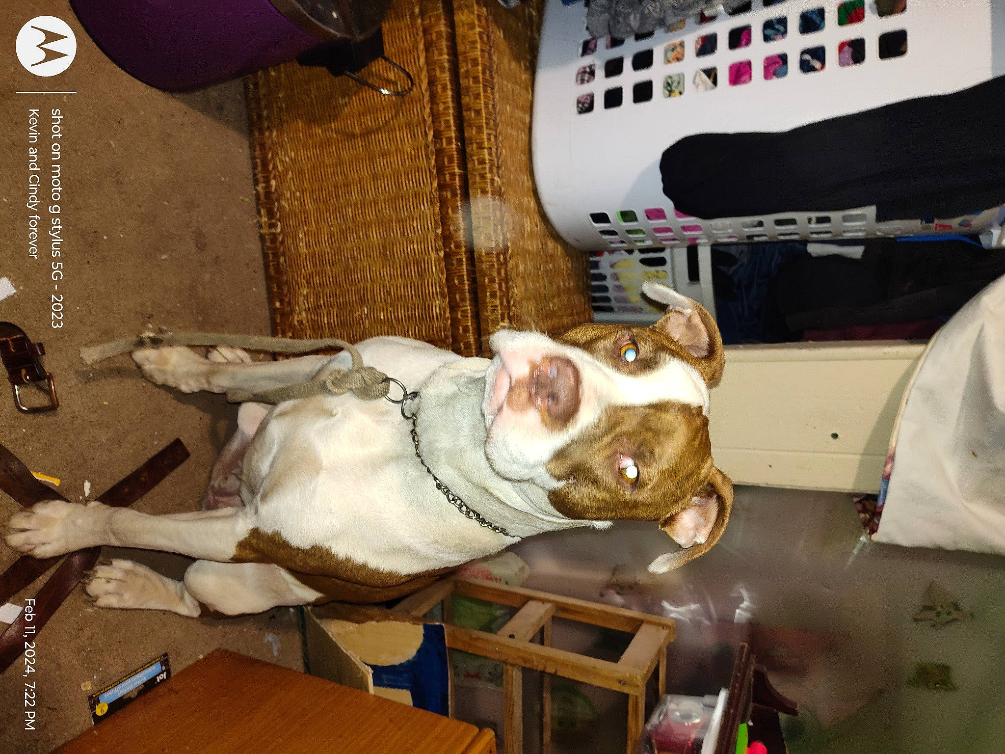 Fatboy joined the competition — help win amazing prizes! auto_part, automotive_design, automotive_lighting, bumper, hat, jaw, machine, motor_vehicle, personal_protective_equipment, table