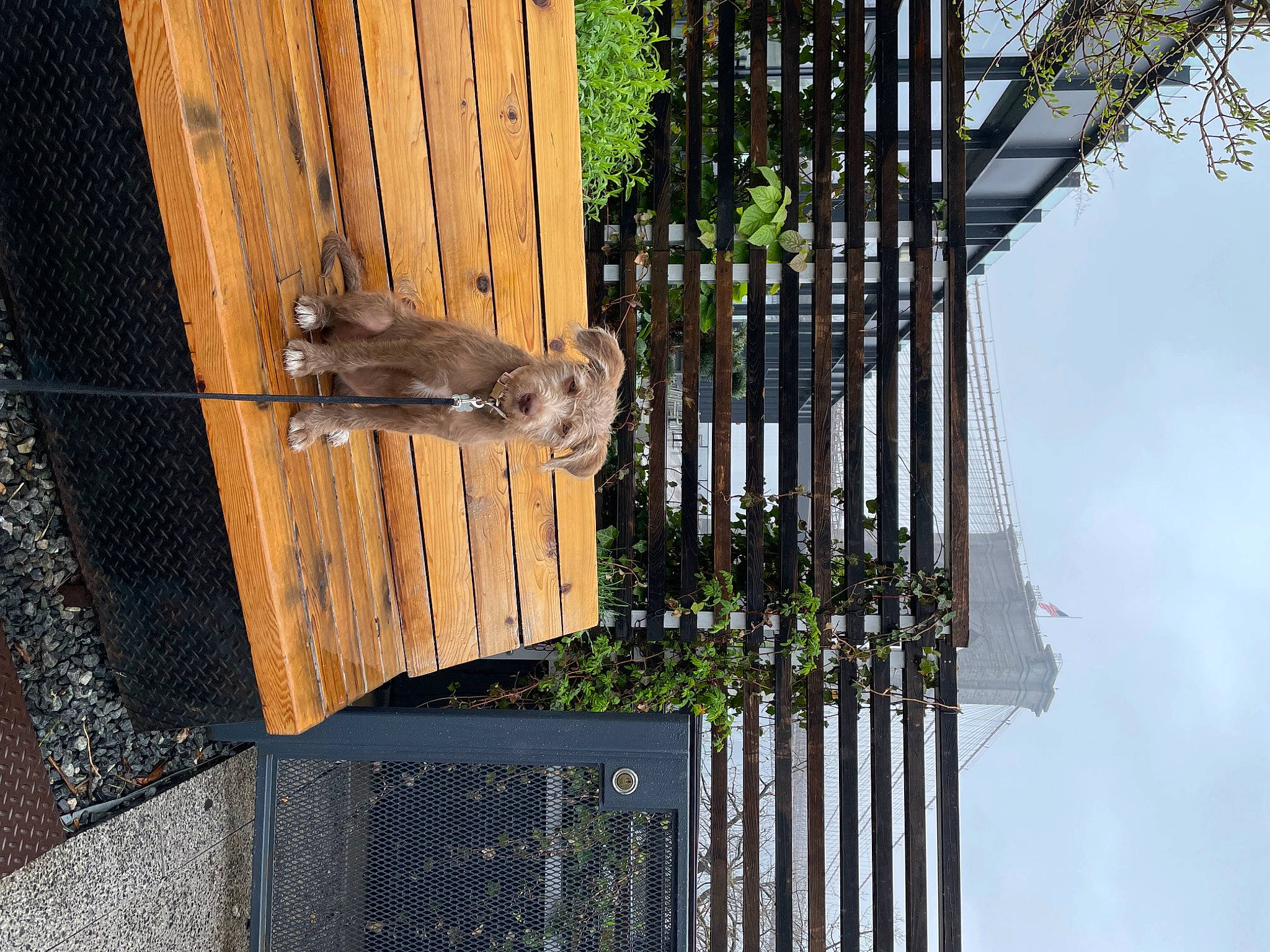 Lexington joined the competition — help win amazing prizes! art, building, cloud, composite_material, facade, home_door, house, line, metal, monument, pedestal, plant, sculpture, sky, statue, tree, urban_design, wood