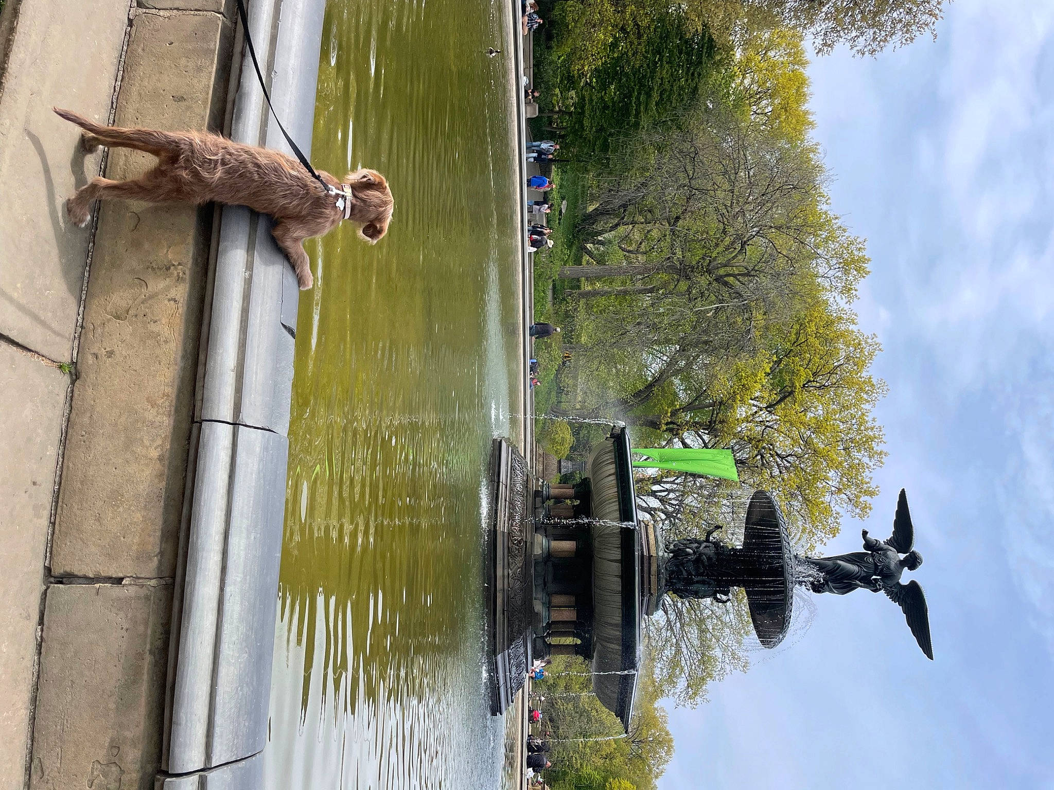 Lexington is registered to the contest to win money with this photo: art, boats_and_boating_equipment_and_supplies, building, canal, cloud, daytime, lake, leisure, plant, recreation, reflection, sculpture, sky, street_light, tree, water, water_feature, watercourse, wood, yellow