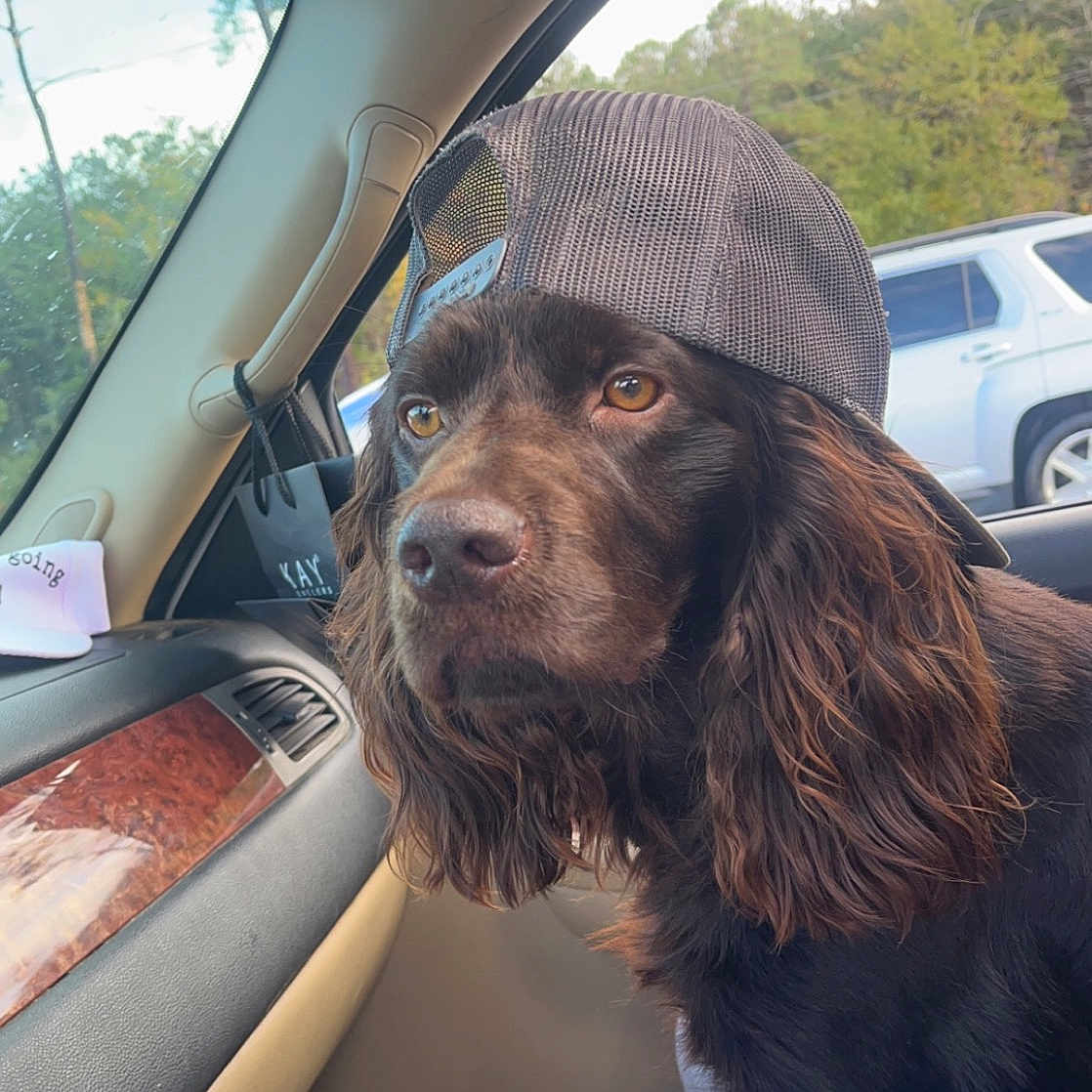 Tucker