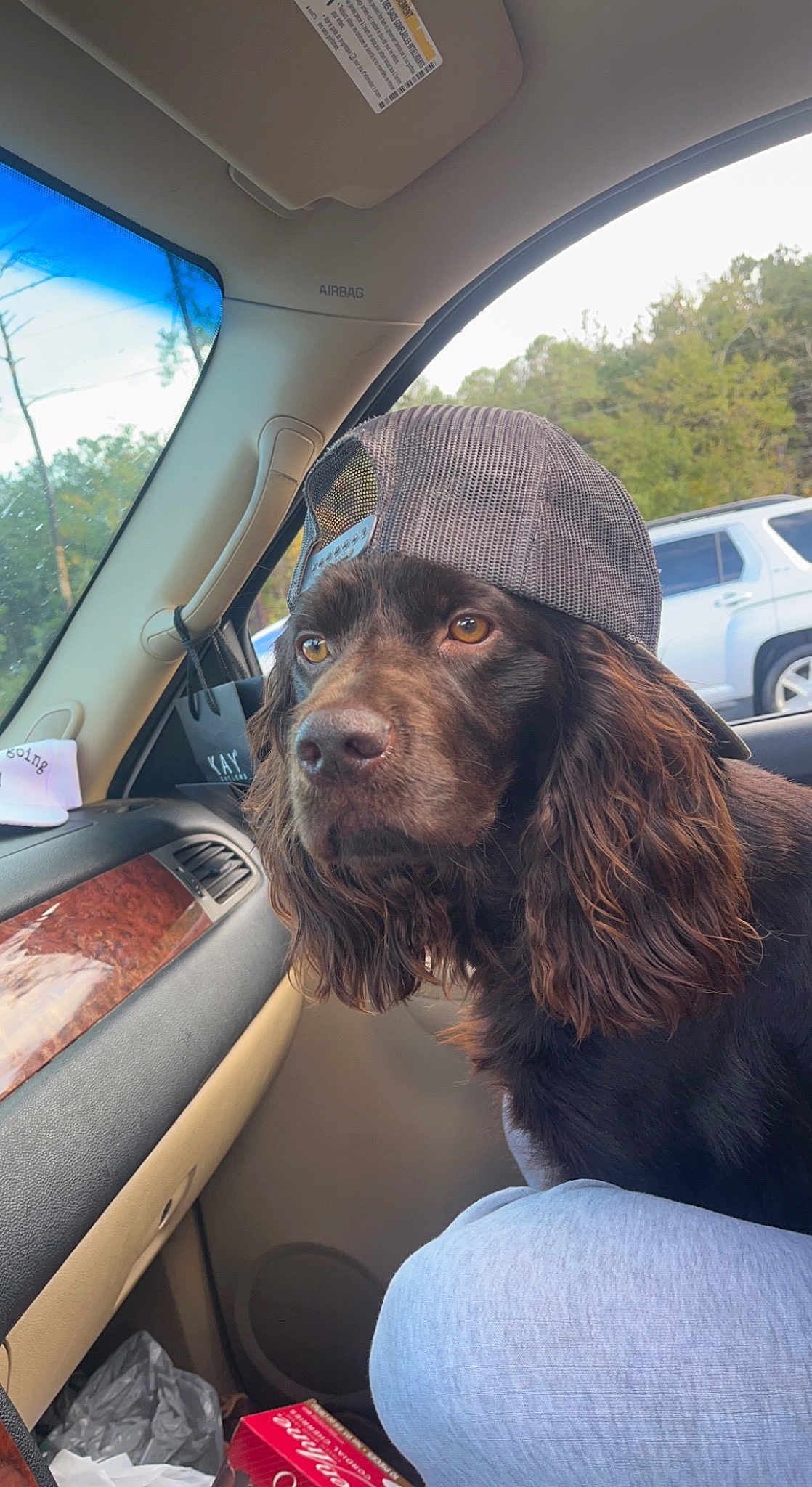Tucker