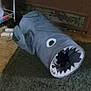 animal, carpet, cat, cozy, cute, domestic, feline, floor, fun, gray, hiding, household, indoor, paws, pet, pet_toy, playful, shark_tunnel, toy, white
