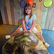 Elizabeth joined the competition — help win amazing prizes! blue_tshirt, buoy, child, decor, fishing_net, floor, girl, happy, indoor, nautical, playful, portrait, pose, sculpture, smiling, toy, turtle, white_shoes, white_shorts, wooden_wall