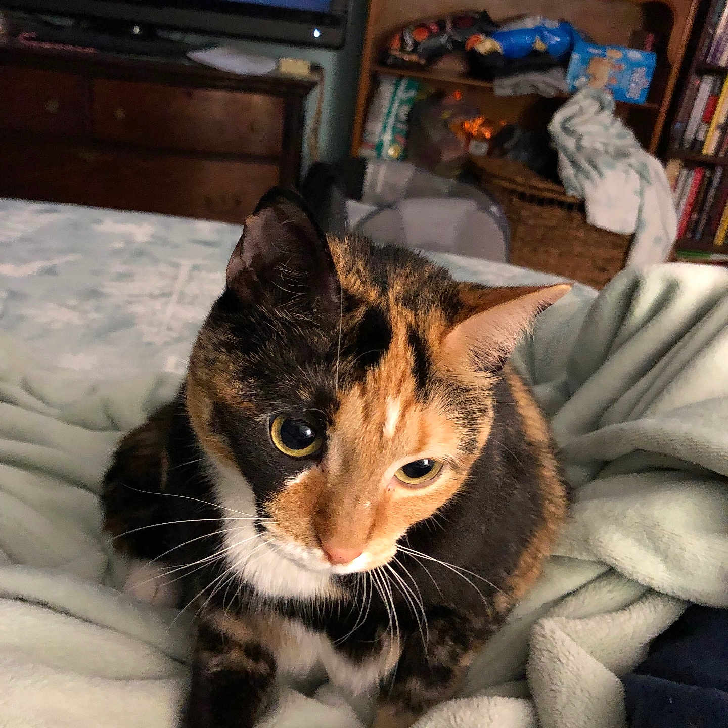 Dinky