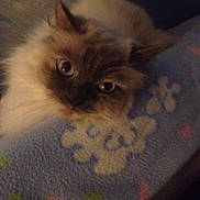Baby is registered to the contest to win money with this photo: