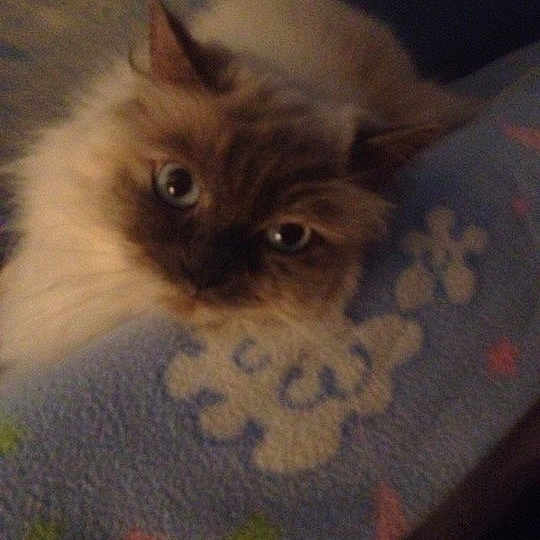 Baby is registered to the contest to win money with this photo: