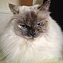 Baby is registered to the contest to win money with this photo: