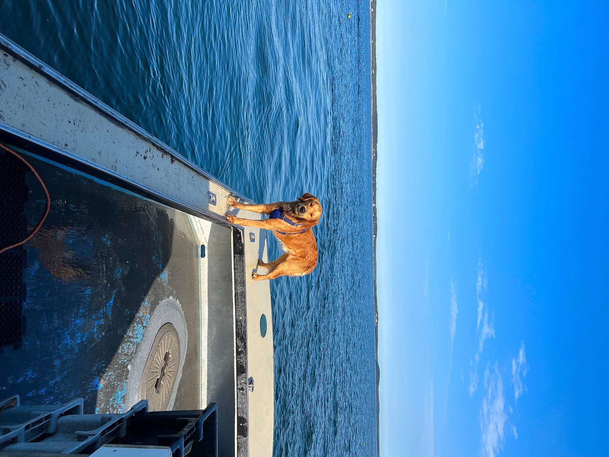 Rufus joined the competition — help win amazing prizes! automotive_exterior, azure, blue, boat, boats_and_boating_equipment_and_supplies, door, electric_blue, lake, leisure, naval_architecture, ocean, recreation, ship, sky, vehicle, vehicle_door, water, watercraft, windshield, wood