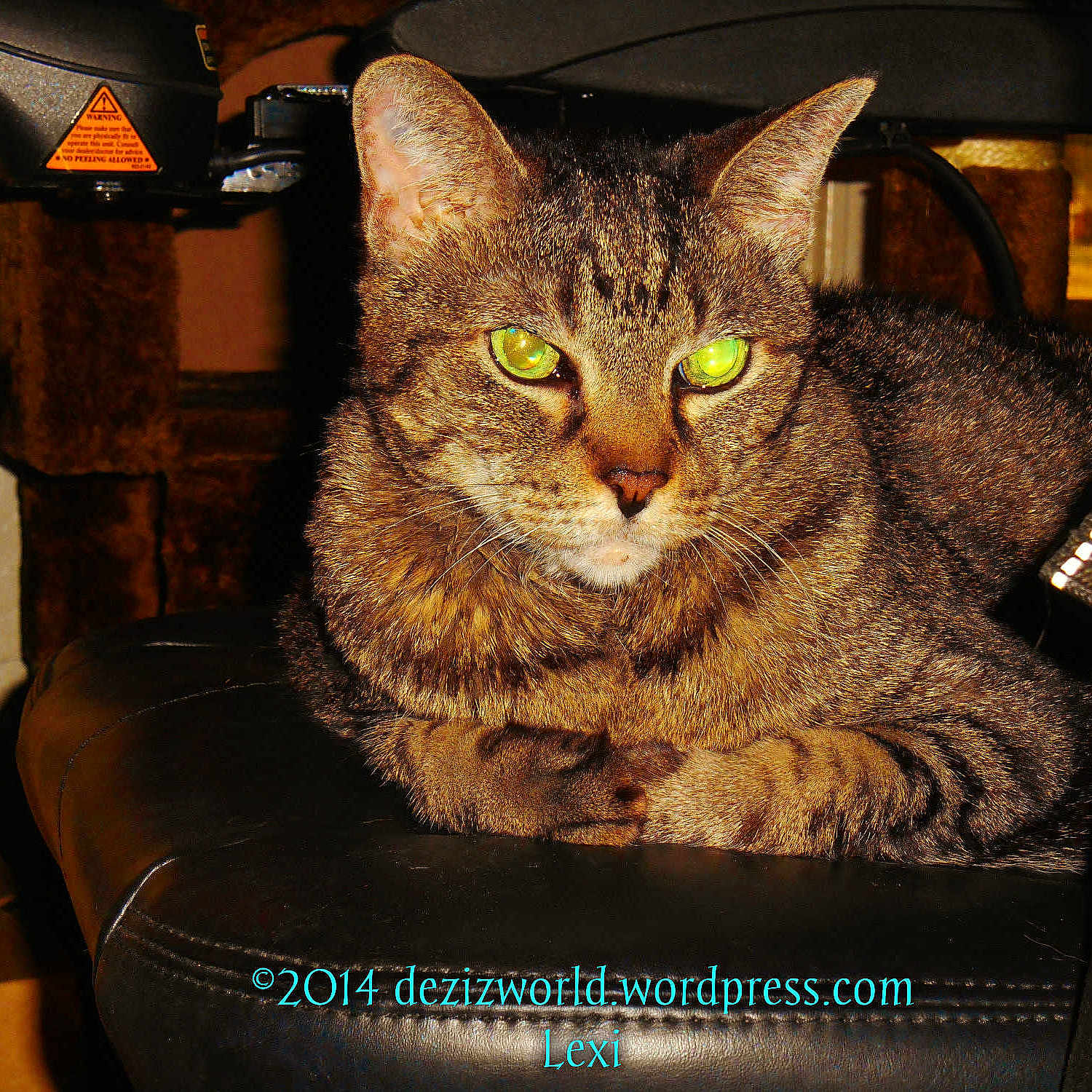 Laramie Alexandra High is registered to the contest to win money with this photo: