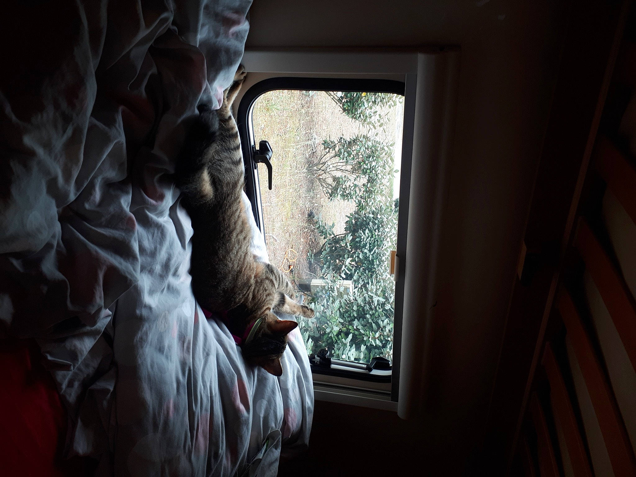 Shakira participe au concours pour gagner de l'argent avec cette photo : bed, bridal_clothing, chair, comfort, curtain, darkness, door, dress, flash_photography, flooring, hardwood, house, linens, sunlight, textile, tints_and_shades, tree, window, window_treatment, wood