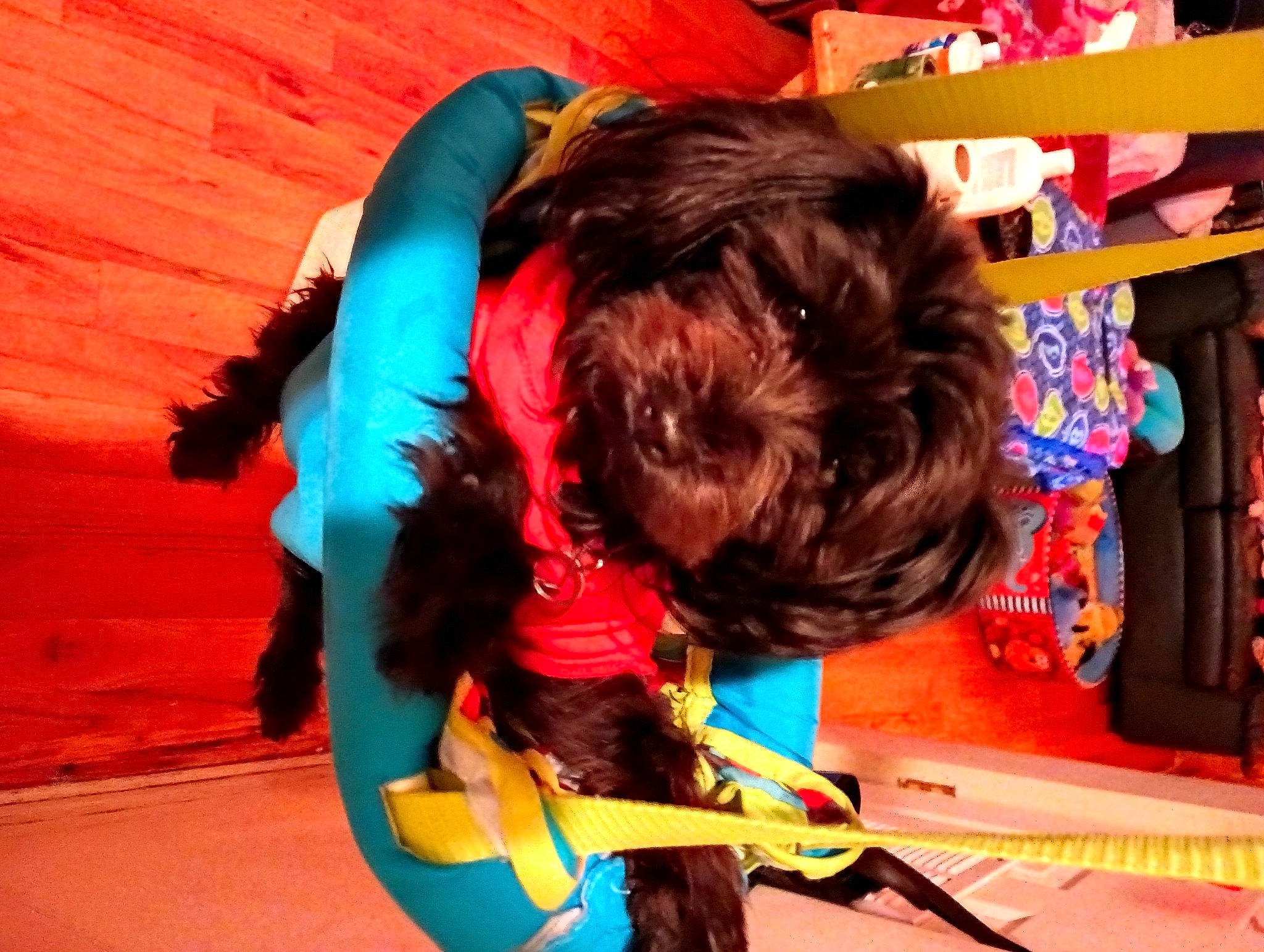 Chickie is registered to the contest to win money with this photo: child, electric_blue, event, flooring, fun, fur, happy, leisure, magenta, play, recreation, room, t_shirt, toy, visual_arts