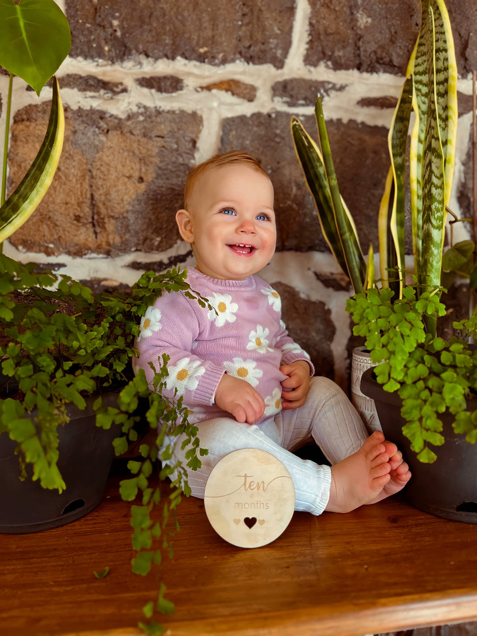 Lennon is registered to the contest to win money with this photo: baby, baby_toddler_clothing, botany, chair, child, desk, flower_arranging, flowerpot, grass, green, happy, houseplant, joy, leaf, people, person, plant, smile, table, terrestrial_plant