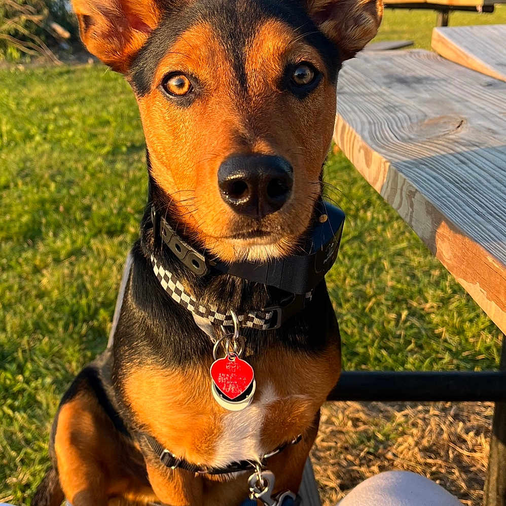 Charlie