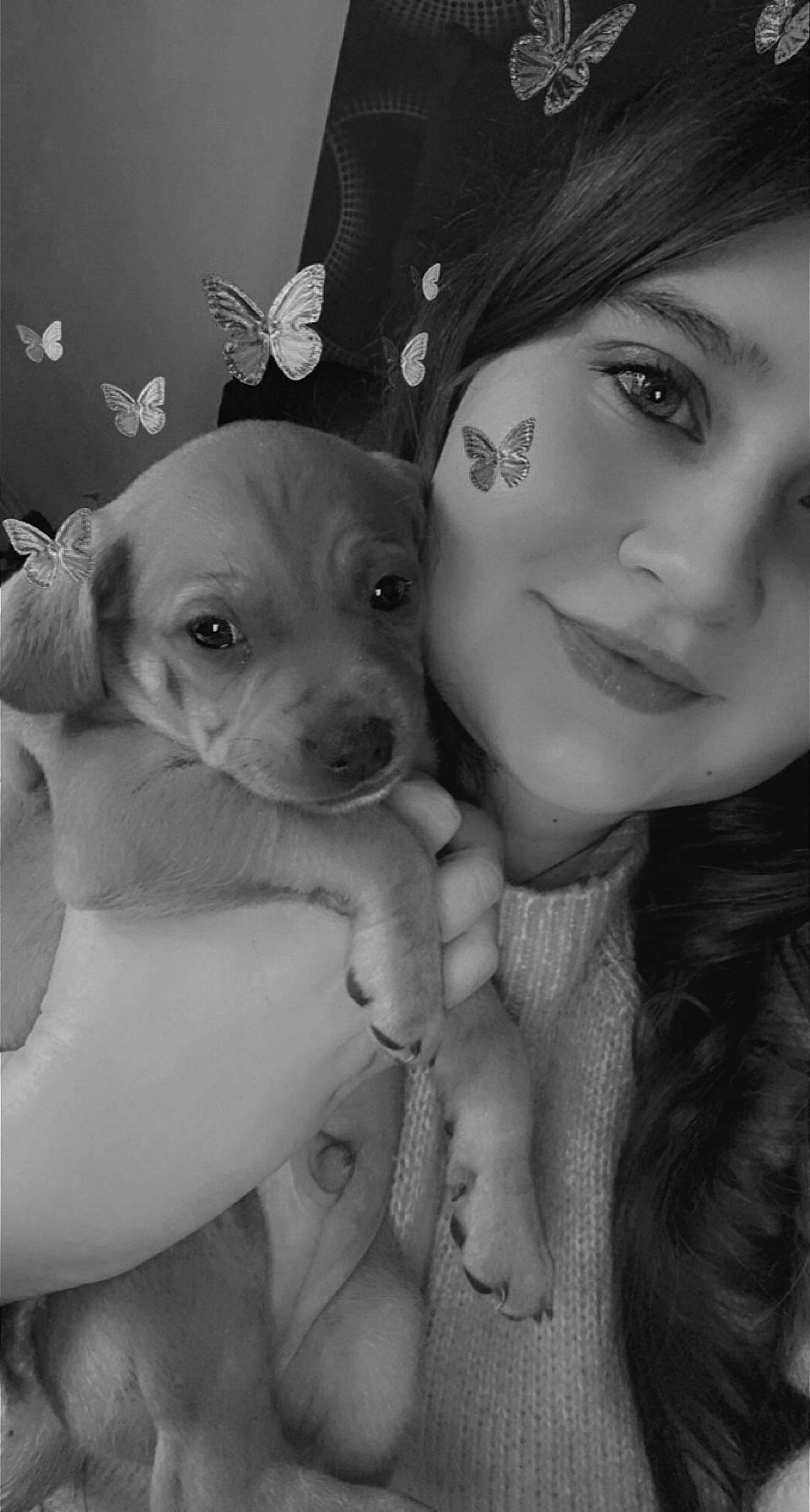 Rio a rejoint le concours — aidez-le/la à gagner de superbes lots ! black, black_and_white, carnivore, dog, dog_breed, eye, eyelash, flash_photography, gesture, hand, happy, head, iris, jaw, lip, mouth, nose, skin, style, white