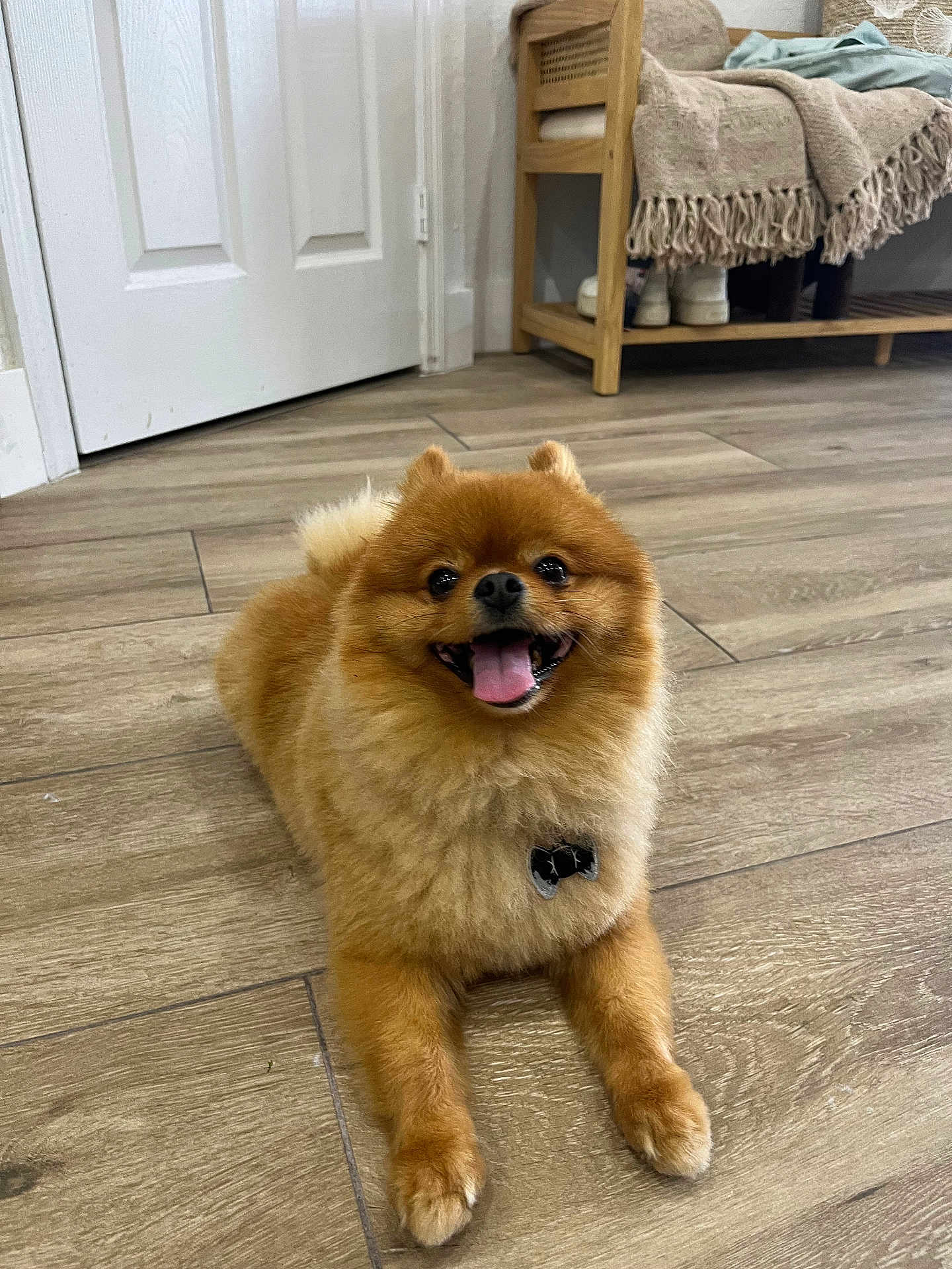 Simba