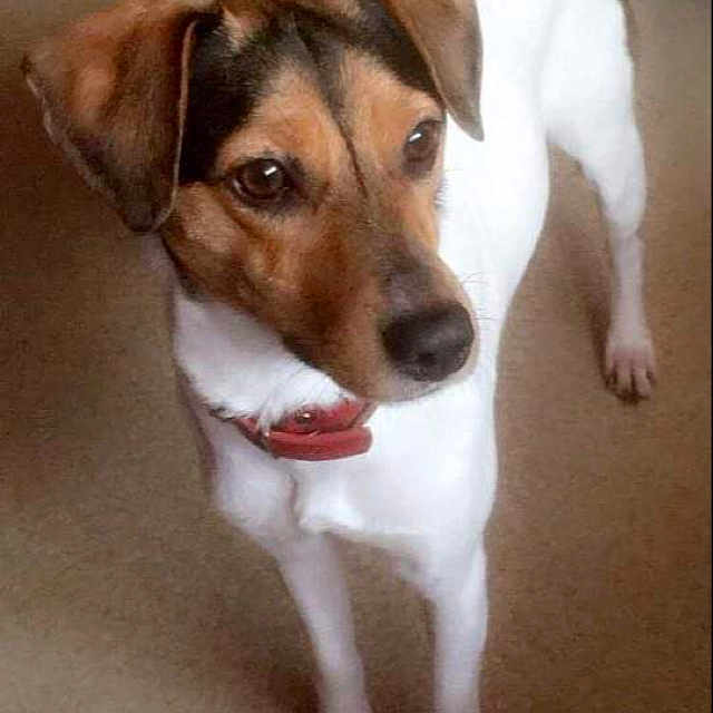 Pixie
