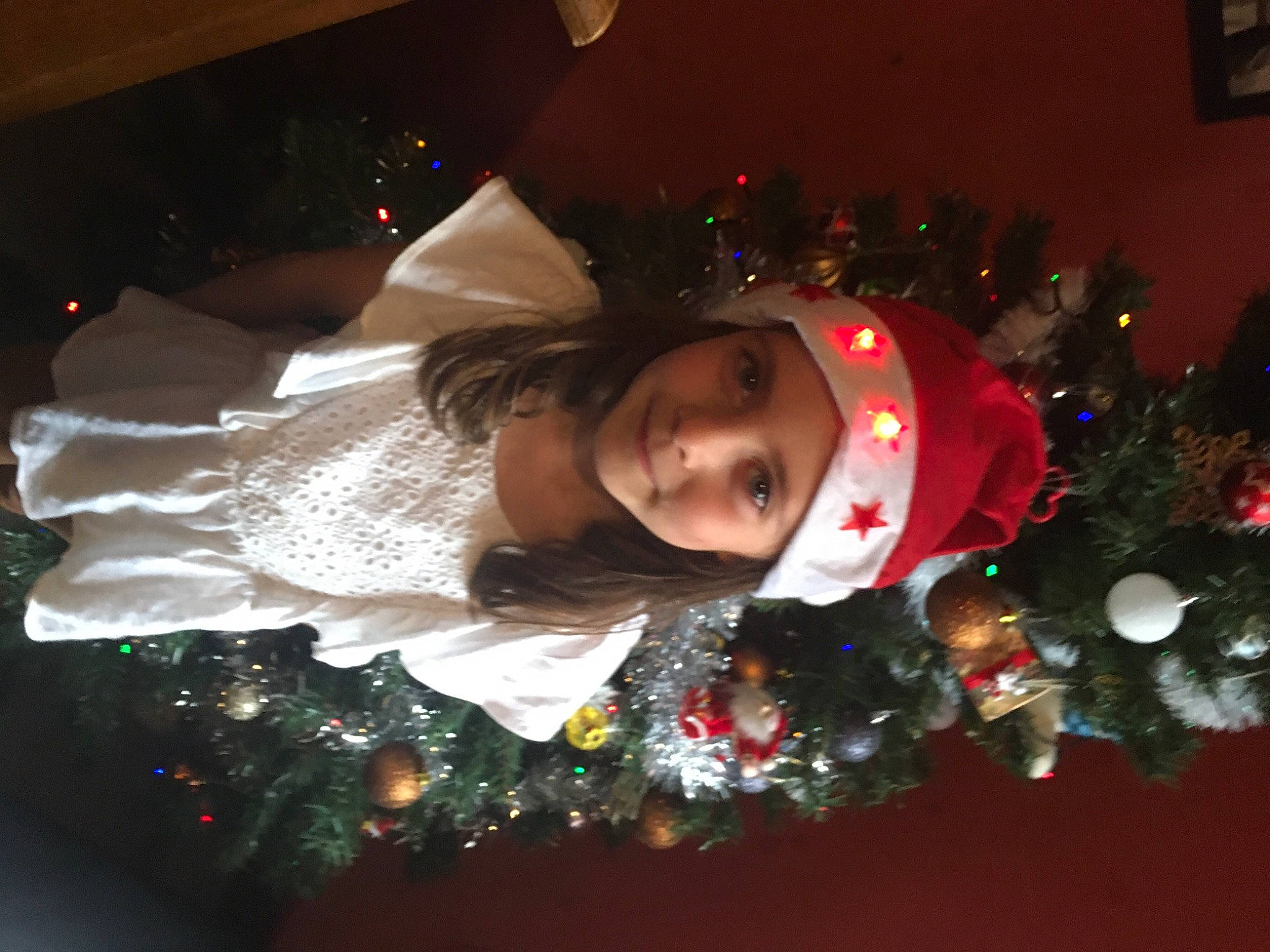 Julia participe au concours pour gagner de l'argent avec cette photo : carmine, christmas, christmas_decoration, christmas_eve, christmas_lights, christmas_ornament, christmas_tree, conifer, event, fun, happy, headwear, holiday, holiday_ornament, interior_design, joy, ornament, person, plant, toddler